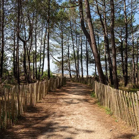 4 Pers. A Plage, Face Ocean, Menage Inclu - Fr-1-319-218 比斯卡罗斯海滩