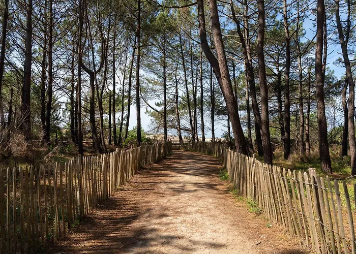 4 Pers. A Plage, Face Ocean, Menage Inclu - Fr-1-319-218 Biscarrosse-Plage